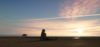 Beech1